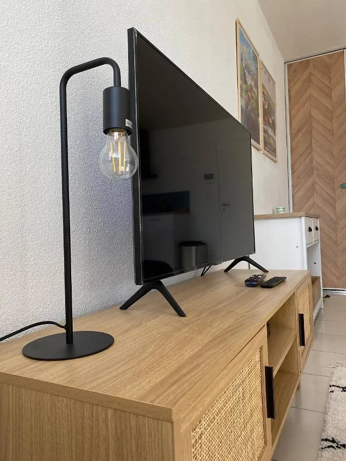 Le Cosy Lodge 2.0 *** Swimming Pool And Calm Cusset Apartment